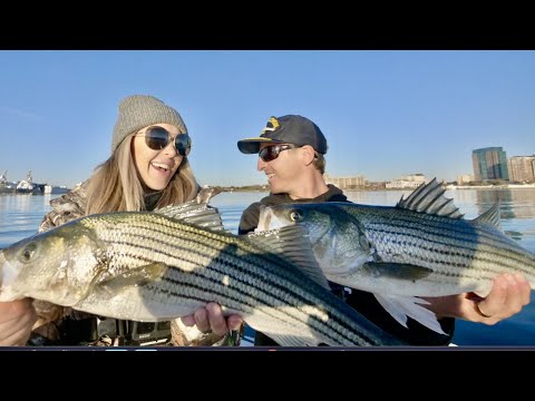 Stud STRIPED BASS on Light Action Tackle and Jigs! CATCH, CLEAN, COOK!