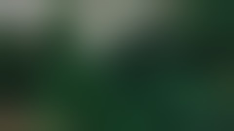 Rescue Dawn - "Where The Fuck Are We?" (HD)