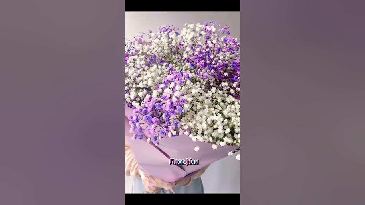 Естетика квітів #квіти - YouTube
