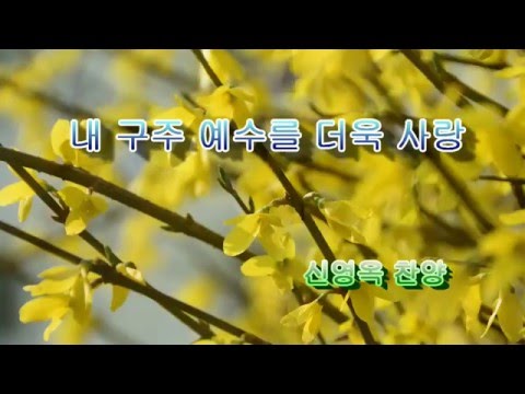 신영옥 (+) 내 구주 예수를 더욱 사랑