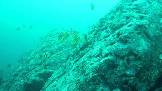 20110825坊津２（2web-P1070803.MOV