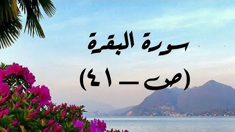سورة البقرة(ص/٤١)-المصحف المعلم مع الترديد-الشيخ محمد صديق المنشاوي رحمه الله - (مراجعة)