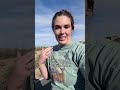 Clemens Collective it’s definitely not too late to get started with the Amazon Influencer program