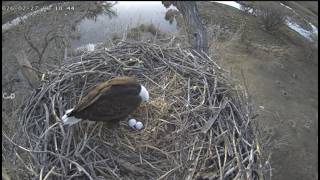 Xcel/FSV EC~Pa Sees Egg #2 🥚🥚First Look-Morning Shift Change_2.27.26