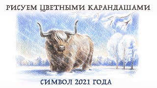 Рисуем зимний пейзаж цветными карандашами #2 // Символ 2021 года