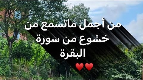 [وَمَا هُم بِضَارِّينَ بِهِ مِنْ أَحَدٍ]  وروائع التلاوات بمحاكاة اللحيدان للقارئ عبدالرحمن ناجي