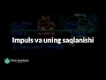 Impuls va uning saqlanishi | To‘qnashuvlar va impuls | Fizika | Khan Academy Oʻzbek