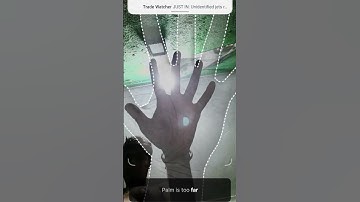 Humanity protocol palm verification.