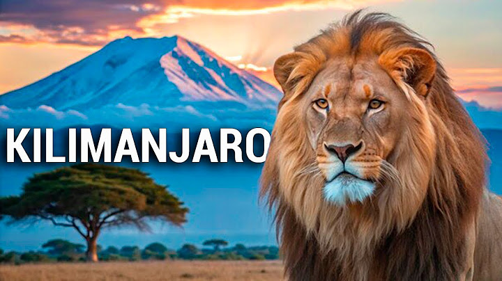 Exploring Africa’s Highest Mountain: Mount Kilimanjaro