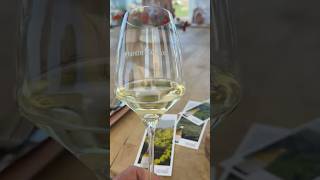 La experiencia más completa en Galicia: vino, mar y música en Bodega Martín Códax 🍷🌊