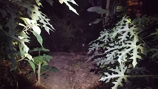 LIVE MISTERI HANTU PENUNGGU KALI