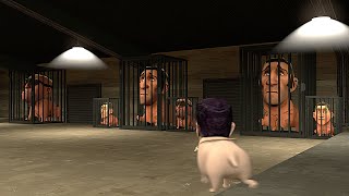 Bow Wow Dog 22