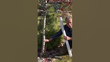 Tree Guards - Protect Your Trees From Winter Damage