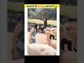 जानवरो के funny कारनामे😁 |funny animals | #shorts #animals #youtubeshorts #ytshort