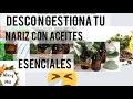 Cómo descongestionar la nariz con aceites esenciales.