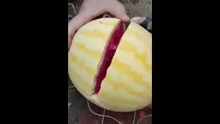 14 Марта 2021 Г.