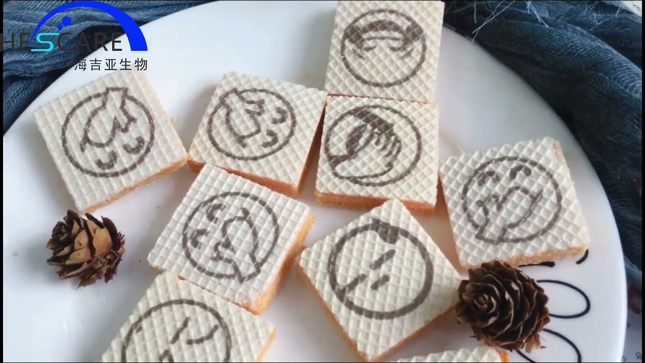 High speed food printer 511-B Hescare