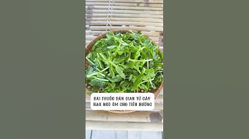 Bài thuốc dân gian hỗ trợ ổn định đường huyết cho người tiểu đường tại nhà #baut #tiembaut #bautoi