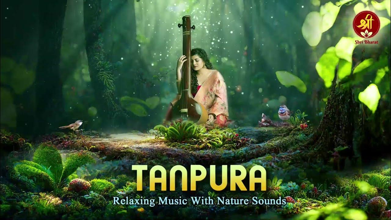 Relaxing Meditation Music with Nature Sounds Tanpura with Forest