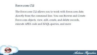Force.com CLI and Automated Metadata Export in Salesforce
