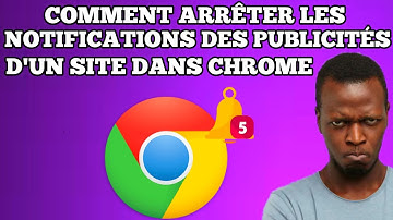 Comment arrêter les notifications des publicités d