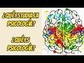 ¿QUÉ ESTUDIA LA PSICOLOGÍA? | ¿Qué es PSICOLOGÍA?