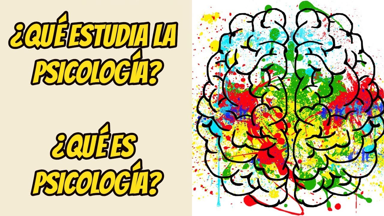 ¿QUÉ ESTUDIA LA PSICOLOGÍA? ¿Qué es PSICOLOGÍA? (EXPLICACIÓN RÁPIDA) YouTube ¿QUÉ ESTUDIA LA PSICOLOGÍA? ¿Qué es PSICOLOGÍA? (EXPLICACIÓN RÁPIDA) YouTube