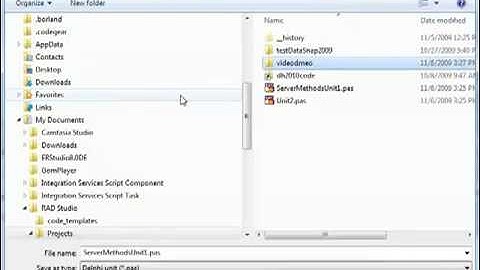 Section 4 Marco Cantu Rest Development with Delphi 2010