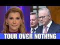 1 MIN AGO! Danica De Giorgio Just HUMILIATED Anthony Albanese Over His RECENT TOUR 