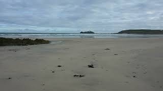 Gwithian Towans, Hayle, Cornwall | Dog-Friendly Guide 🐾