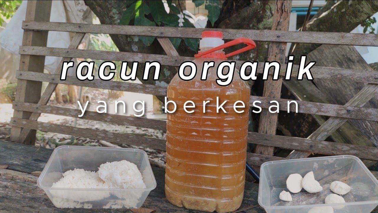 Organik serangga cara racun buat Berkebun Organik: