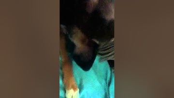 Jailbreak psp no magic memory stick no pandora battery