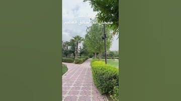 سوره الملك #اكسبلور #قرآن #قران_كريم #recipe #لايك #حلويات #راحة_نفسية #سورة_الملك