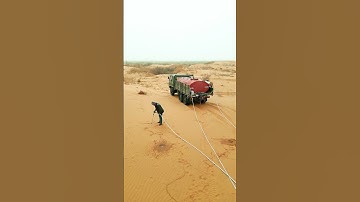 Công nghệ biến sa mạc khô cằn thành rừng cây