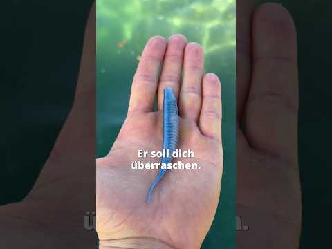 Überraschungen für Angler