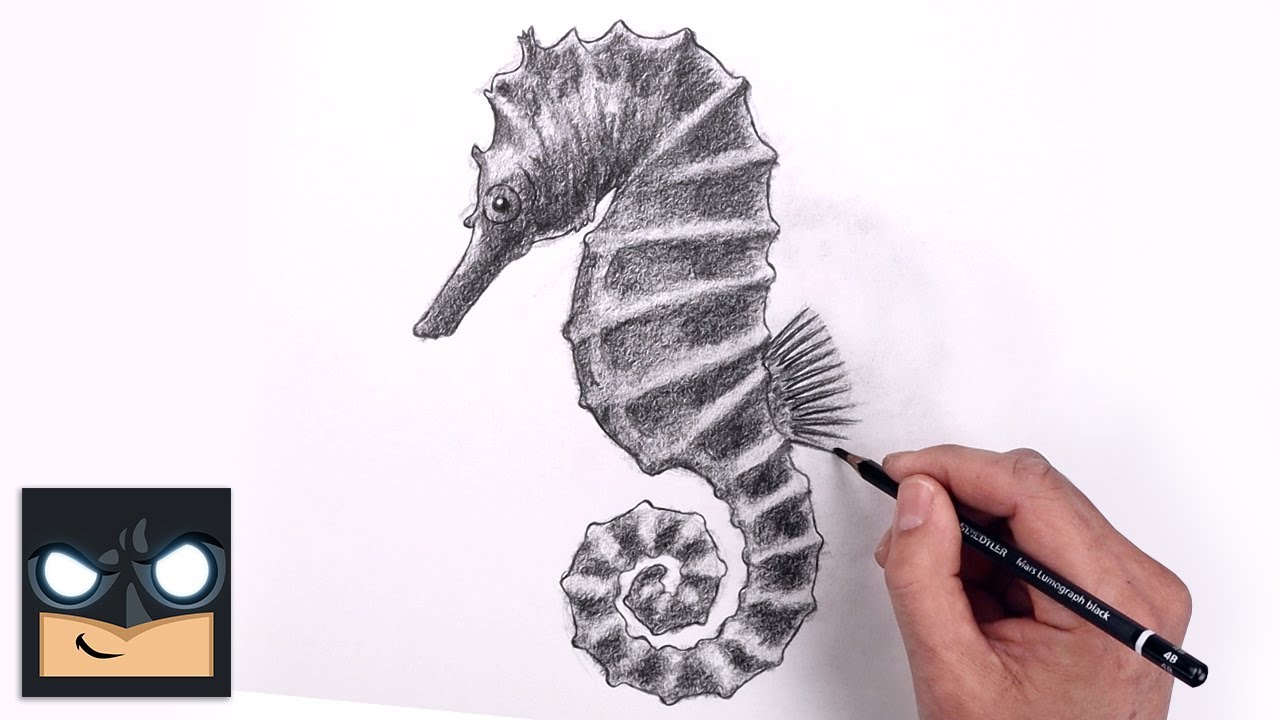 how to draw a seahorse step by step