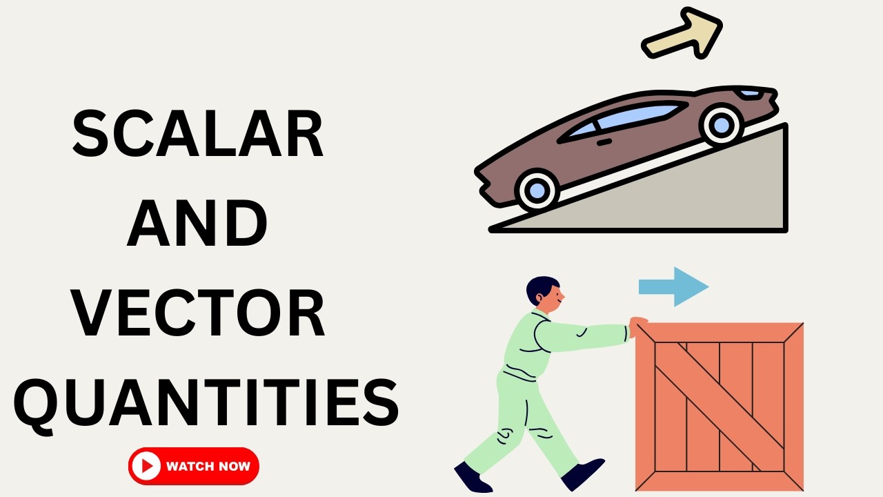 Scalars and Vectors Explained | Physics Basics - YouTube