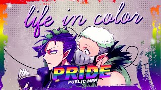 [ SMEPs ] Life In Color || Public Pride Month MEP