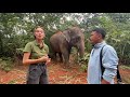 Follow us into the wild of the Surin project Thailand!  - EleFlix