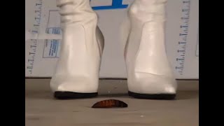 N80 Bug Crush Teaser - Two girls, White boots and Cockroaches