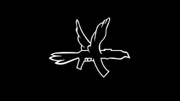 Diffusion en direct de Botium Community