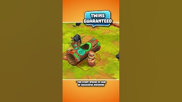 Florentina celebrates birthday - celebrate with her! 🎂 Zoo 2: Animal Park 🐼 #zoogame #browsergame