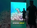 Affordable LED Video Wall | ABSON P4.91 High-Definition Display