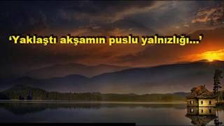 Ayşegül Aldinç feat. Eflatun - Seni Sevmek Var Ya Resimi