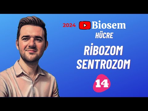 Ribozom Sentrozom | 39 Günde TYT Biyoloji Kampı-14 | 9.Sınıf Biyoloji Kampı14 | 2024