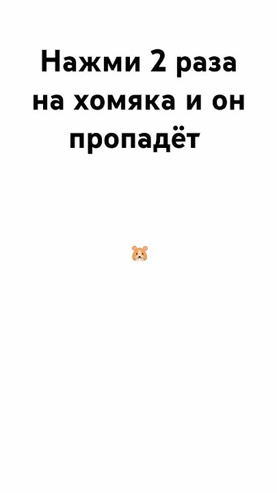 хомяк! - YouTube