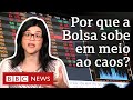 Por que a Bolsa sobe se a economia está em baixa?