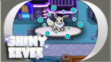 LIVE! Shiny Eevee after ??? SRs!!!
