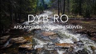 Afslappende vandløb i skoven - Dyb Ro