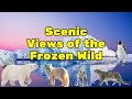 "Scenic Views of the Frozen Wild" #FrozenWild #IcyLandscapes #GlacierViews